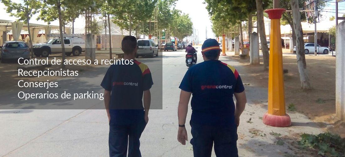 Auxiliares de servicios en Granada